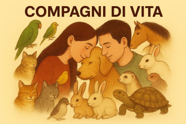 Concorso fotografico
