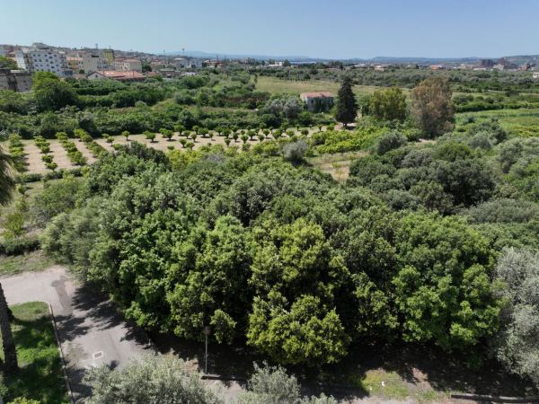 Fare rete per l'Educazione al volo: Seminario Zona ITA_SAR